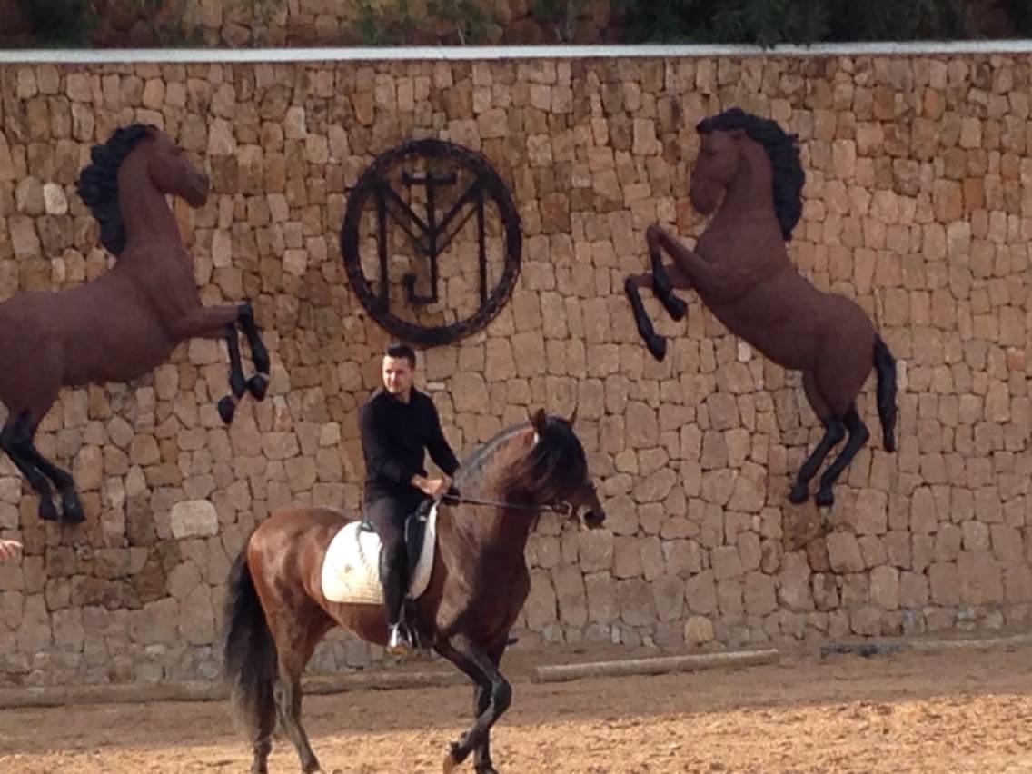 caballo 1 - Streakka Ibiza Arte