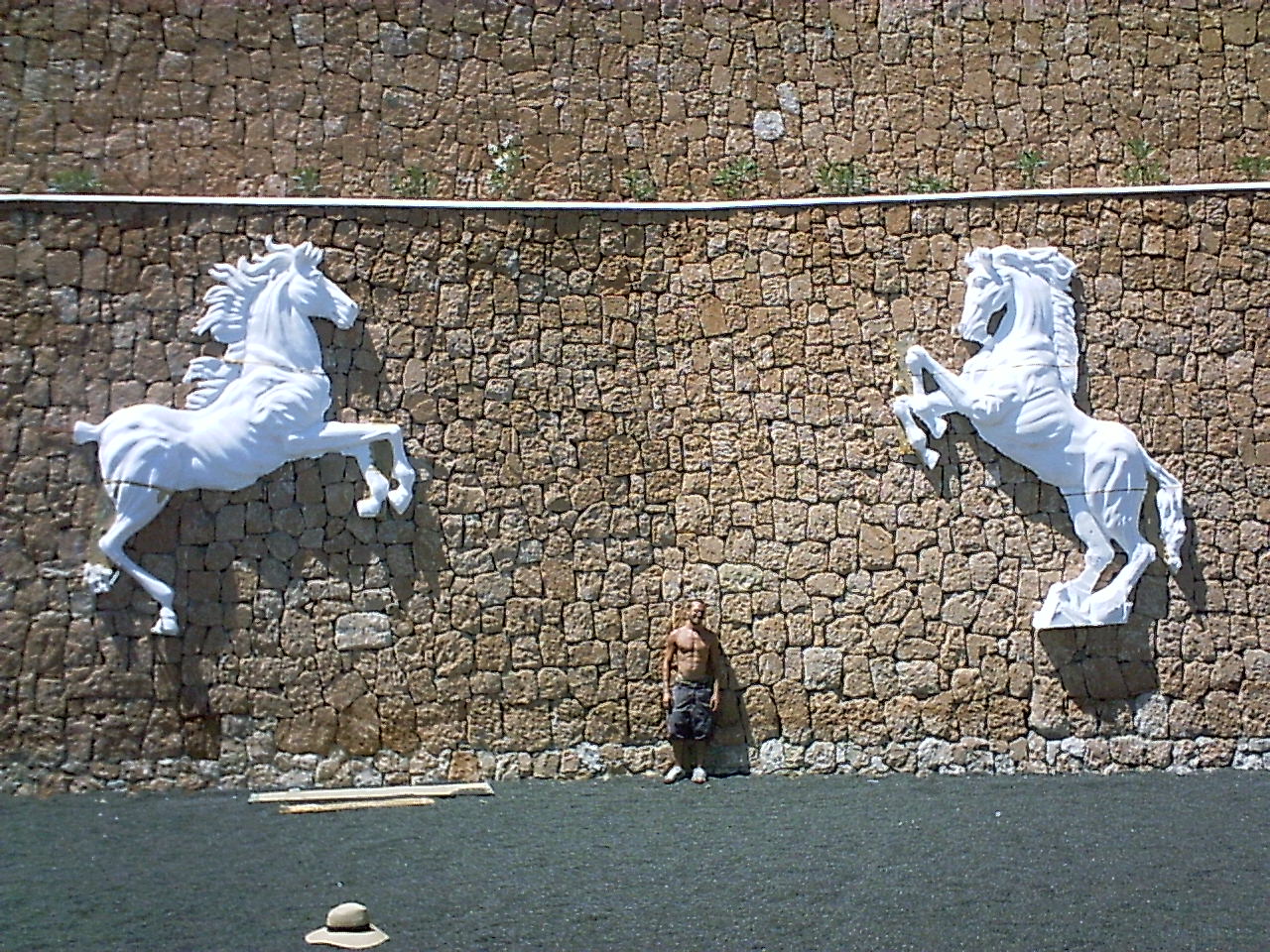 caballo 3 - Streakka Ibiza Arte