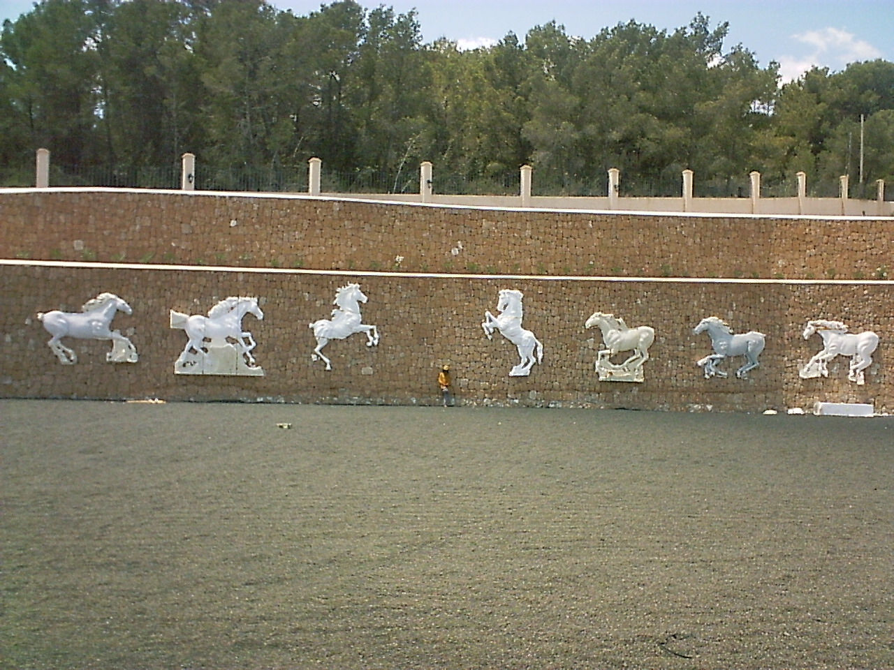 caballo2 - Streakka Ibiza Arte