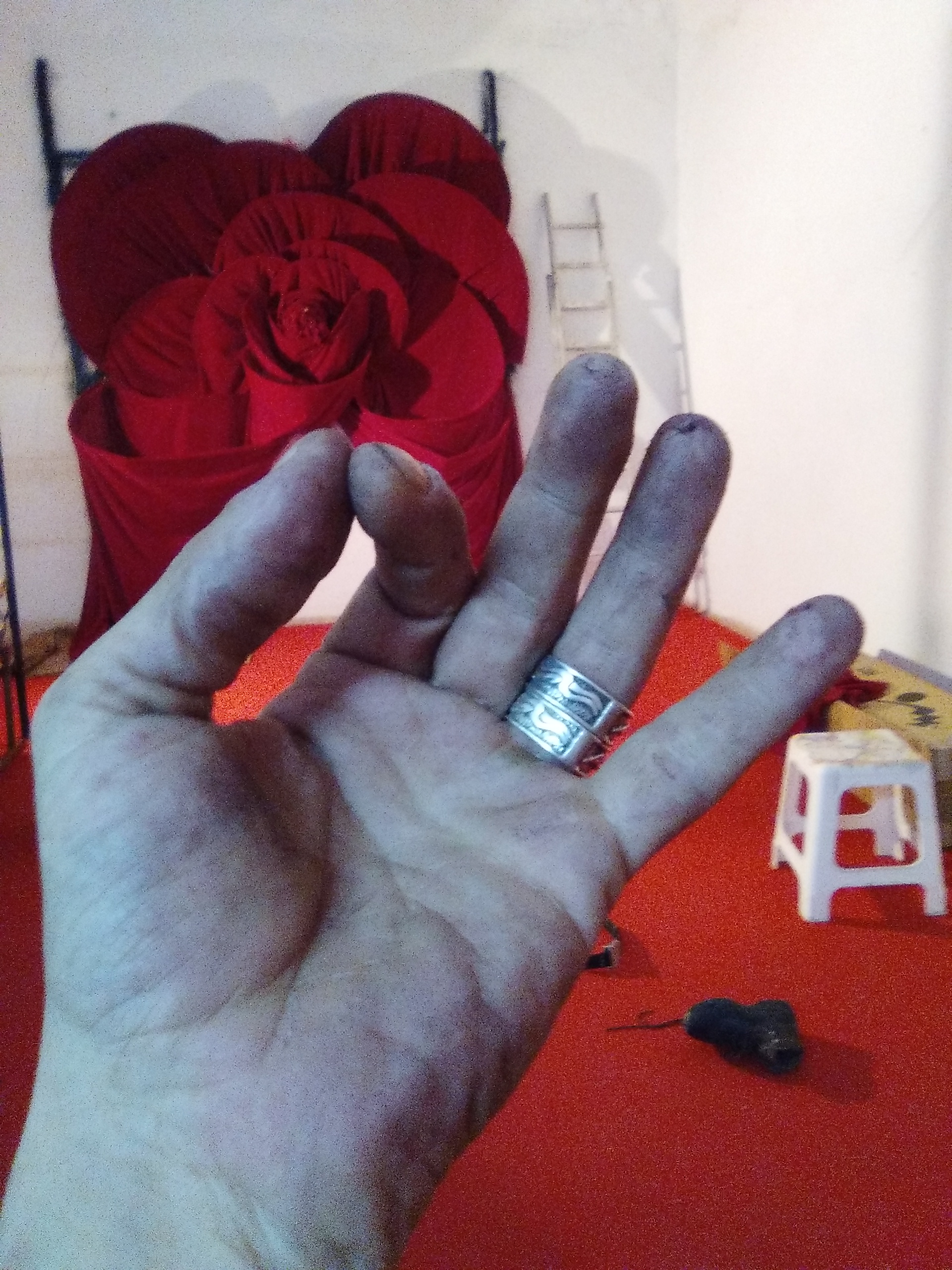 mano con rosa - Streakka Ibiza Arte